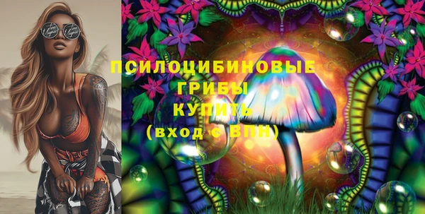 винт Нягань