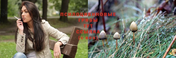 мдпв Нязепетровск